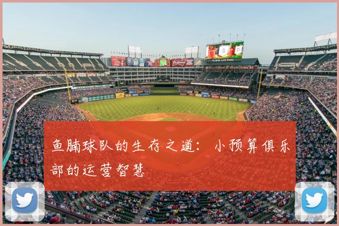 鱼腩球队的生存之道：小预算俱乐部的运营智慧